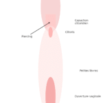 piercing capuchon